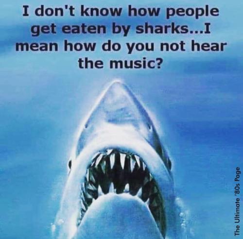 97369986-1F52-490D-83FB-1F5DE0F71BD1