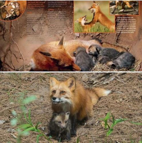 086C3BA0-832B-40E8-A204-A80714D7F040