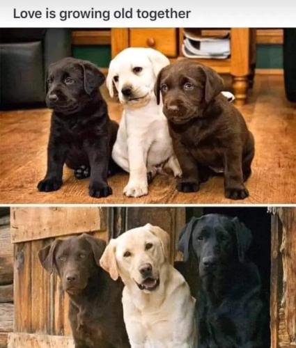 88386300-5daa-468e-a4ef-dfdee3aacd9a