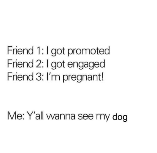 friend-1-got-promoted-friend-2-got-engaged-friend-3-pregnant-yall-wanna-see-my-dog