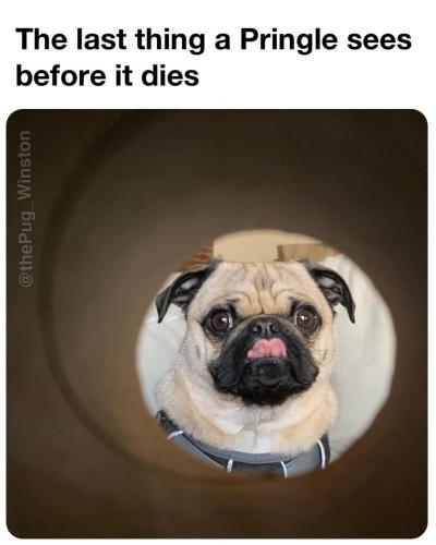 FB_IMG_1743698399624