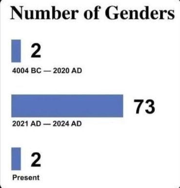 image_2025-04-06_120842314