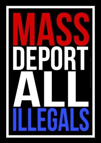 illegals mass