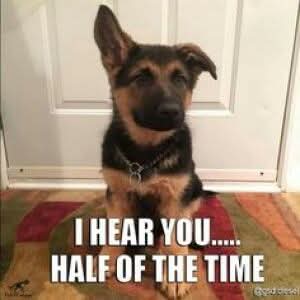 FB_IMG_1745944916728