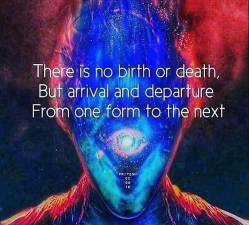 492165834_1707547243505673_7334680158375512863_n