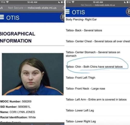 image_DE60E140-103C-4057-AD6A-BDE8DF2D0AF5