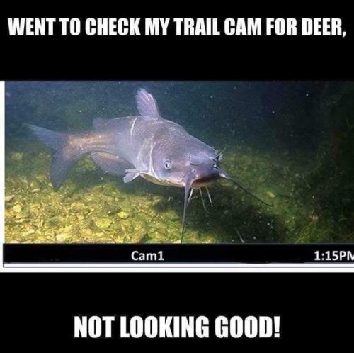 E3C7F341-1B82-4999-87E1-814E6D7BA885