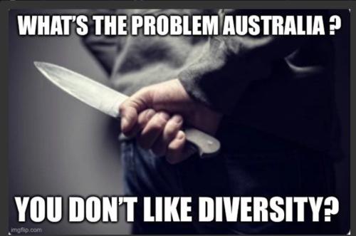 IMG_20250414_180537_800