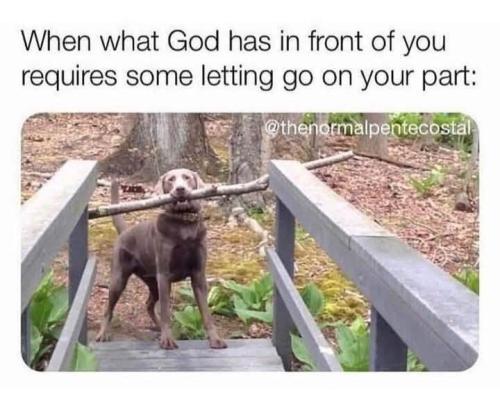 FB_IMG_1745607654518