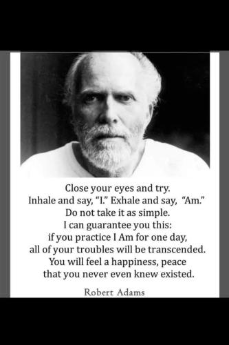 ,     ,       273410949_71196934381