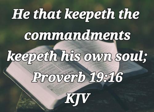 cc60a939-b6a5-4e58-b279-41860306fe69