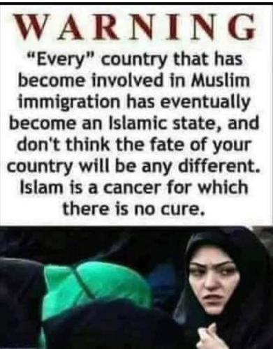 4A49D06D-98D5-4764-A19D-7351CD89FF9E