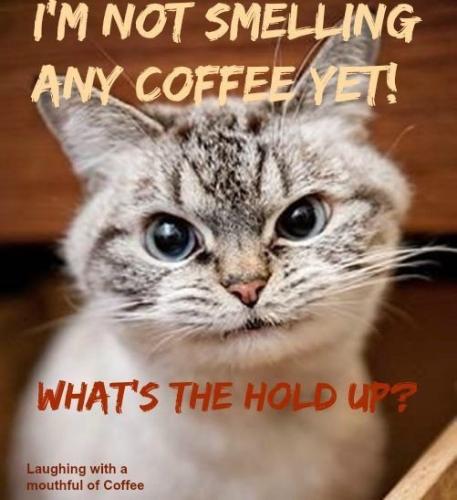 9d62f2cce579115c54afae5a6698418e