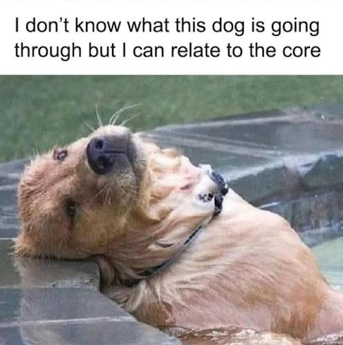 c7e91cb43a7c8dcf8650f730445d2f28