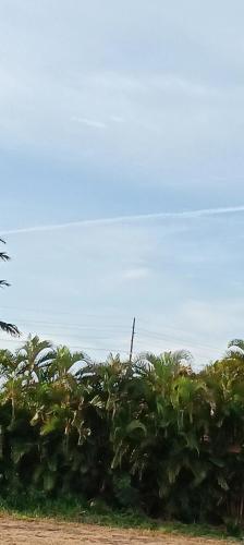 79585839-7f45-4676-8579-77c0f557ff8d