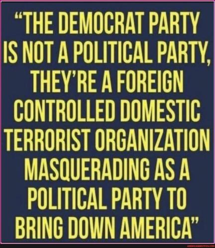 55618d49cd124e0e080ed37235a1968347d8d66b6452d3da62b2f16b72f8275f_1