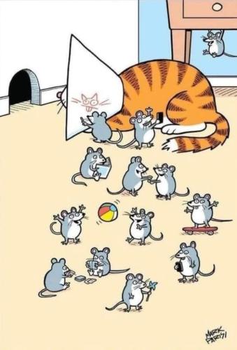 3c0a9470-da0f-428d-9adb-f720fbda51c3