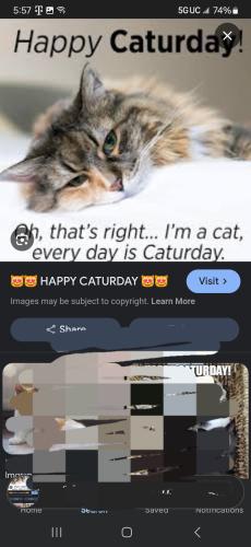 Screenshot_20250426_055725_Google