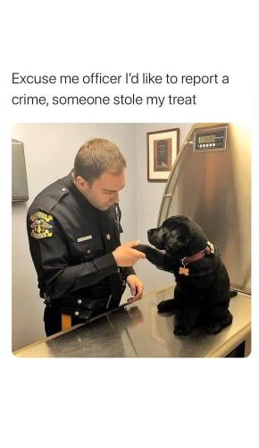 FB_IMG_1744057764120