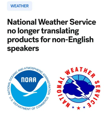 image_2025-04-09_064043319