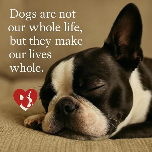 FB_IMG_1745345063994