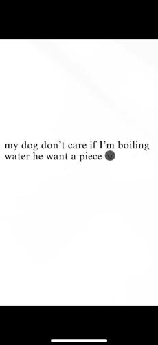 FB_IMG_1744390671447