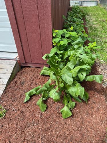 343B6FEC-4123-4FFC-8FA9-813CE9345EA4