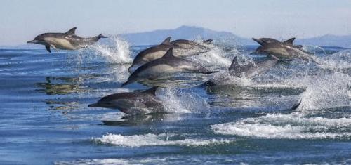 ,                GAkHyqHWIAACt_p