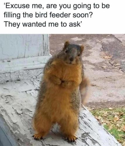 3A474929-820E-40D2-91F6-42AE2A4602A4