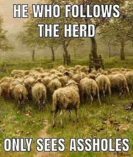 28f4b7aff261c2c7dbd9372eb19a5297