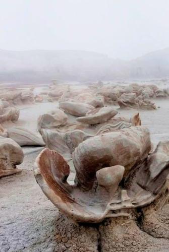 61e9f39f-cd0b-402c-a579-319781442660