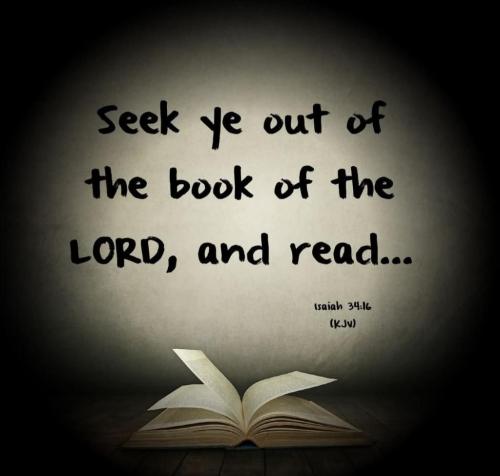 78aedcca-9198-47c8-a5c2-02c186154916