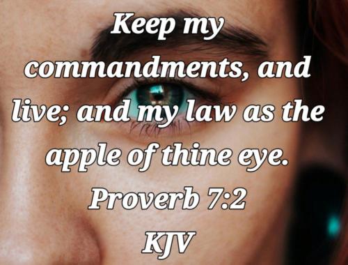 7618adf8-5a0c-4c07-aa1f-a382459ac207