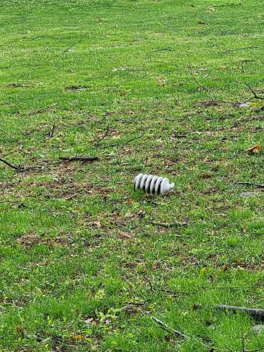 874e5e2c-c534-4a6f-af86-ebb53b82ef56