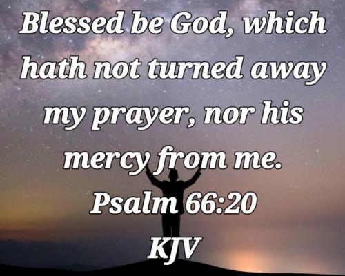 c28b1fed-e02c-4e7e-9d78-d2fd25e7f71f