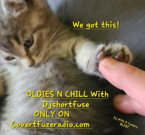 Screenshot_20250421_064528_Gallery