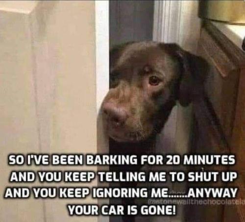 a6da894f7ef1b7c4c1f64556db0a2328