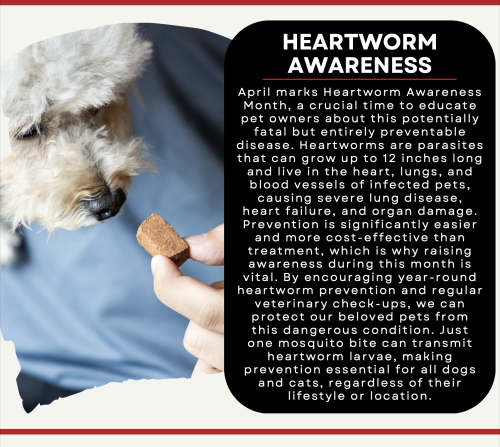 heartworm