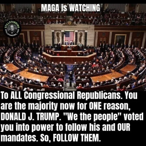 image_2025-04-15_062458532