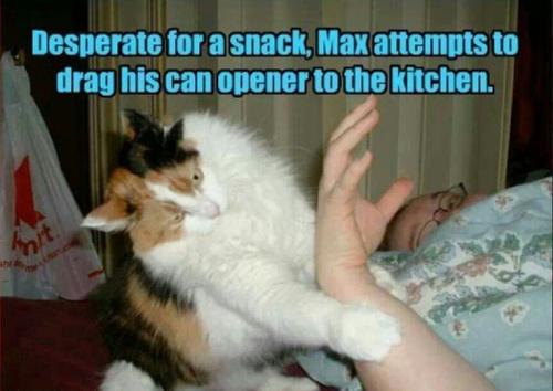 972eca772a43796a4be830a1a7b96183