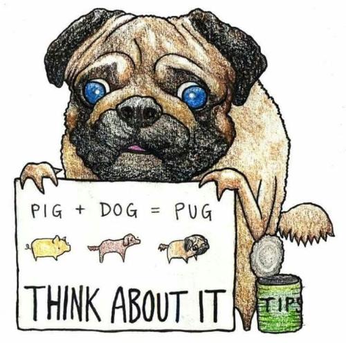 FB_IMG_1743802947553