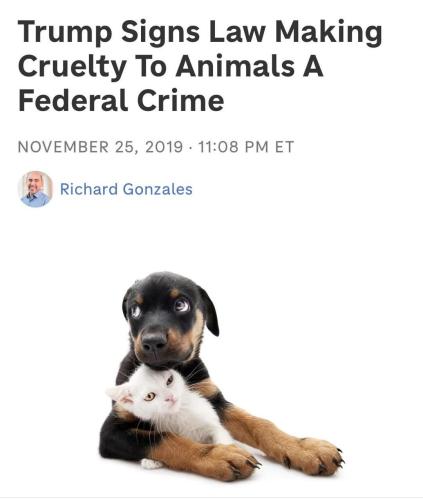 Screenshot_20250424-095526_Facebook