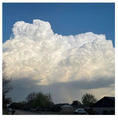 482fda0c-ed4c-4d55-9990-973d3b183c48