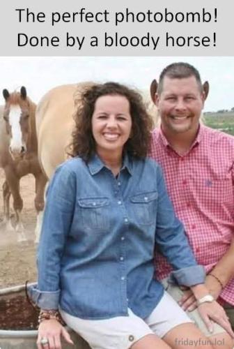 FB_IMG_1745282318254