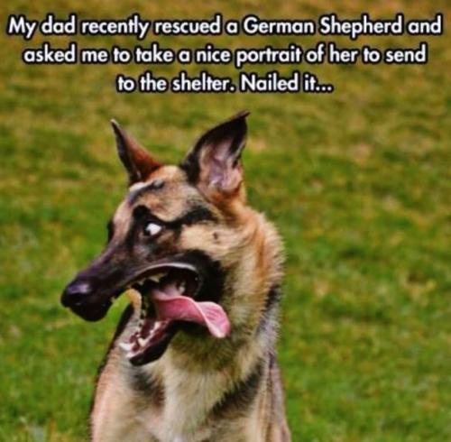 FB_IMG_1745959300786