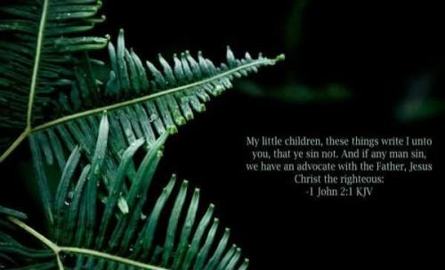 5b03c9a5-b654-4f13-a278-81e6c45ac7d0