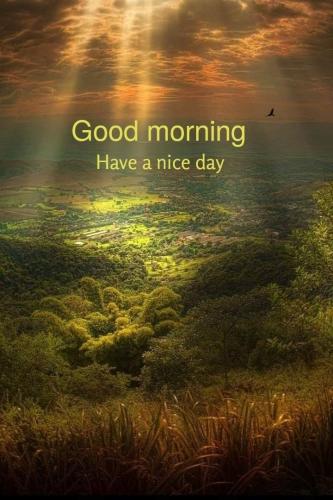 good-morning-spring 9