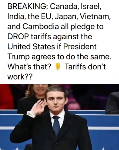 image_2025-04-15_063458974