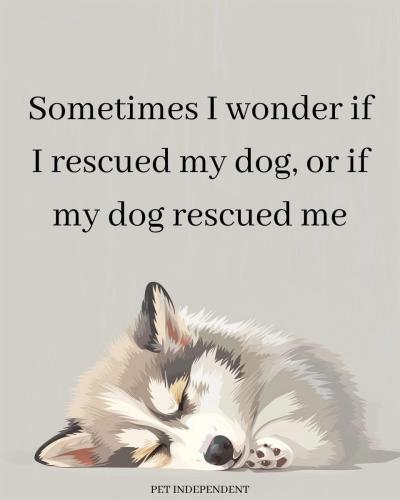 FB_IMG_1745503641994