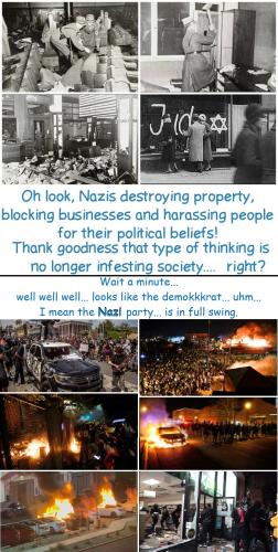 demokkkrat_nazi_ same difference